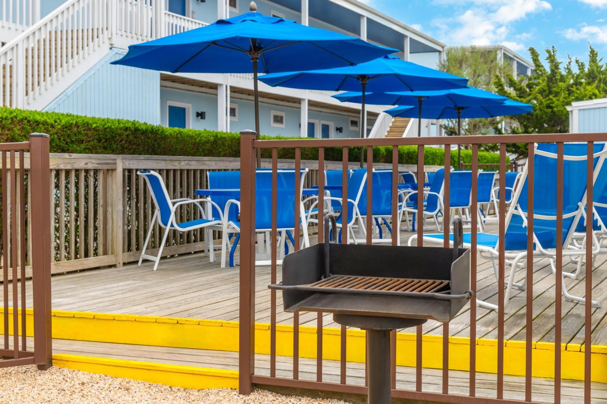 Blue 3* Montauk